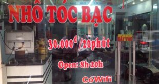 Dịch vụ Nhổ tóc bạc chuyên nghiệp tại 377 Bà Hạt