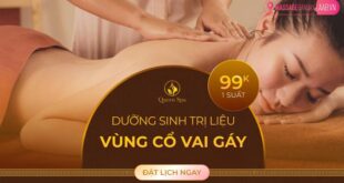 Massage Dưỡng Sinh Trị Liệu Vùng Cổ Vai Gáy