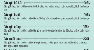 Thư Giãn Tuyệt Đối Với Dịch Vụ Massage Khỏe Tại Sài Gòn